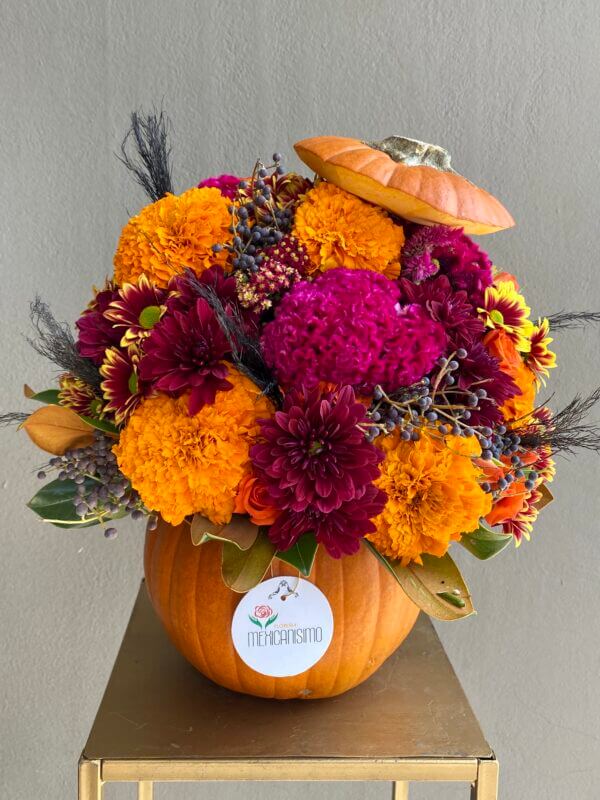 Calabacita floral