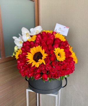 ALEGRE CONTRASTE - 150 ROSAS