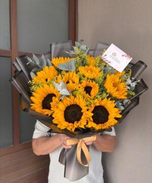 Destellos de luz - 10 girasoles